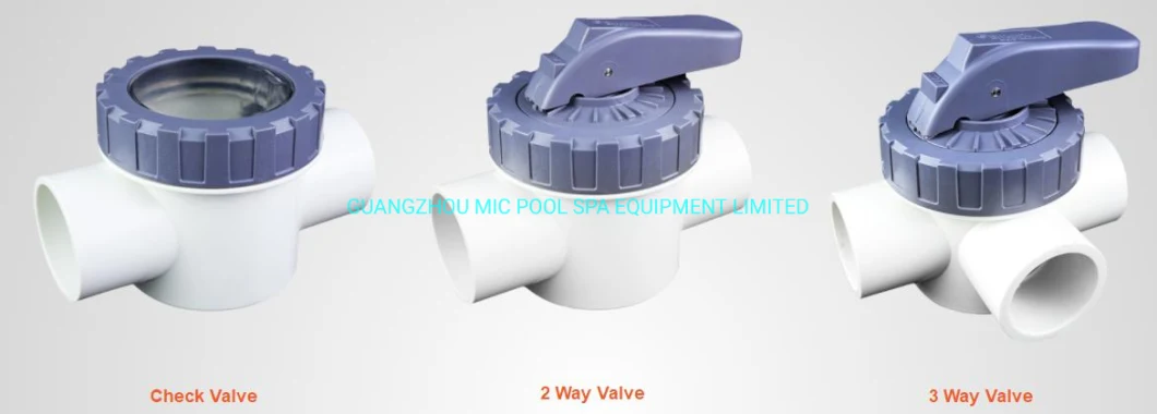 Swimming Pool Check Valve, Swimming Pool PVC Accessories